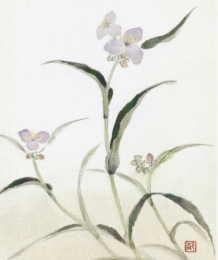 「露草」　茨木とし子（2013/11無錫書画院）