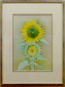 「ひまわりⅡ」 F8 石倉孝博 「ひまわりⅡ」 F8 石倉孝博