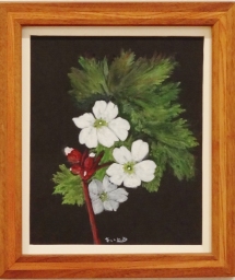 「冬至春咲花」 F2 齋藤義保 「冬至春咲花」 F2 齋藤義保