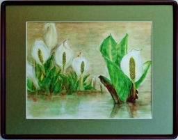 「水芭蕉」 F6 河原公治 「水芭蕉」 F6 河原公治