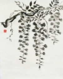 「藤」 F6 高橋宏行 「藤」 F6 高橋宏行