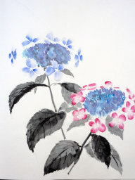 「あじさい」 F4 植木克彦 「あじさい」 F4 植木克彦