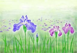 「花菖蒲2021」 (デジアート)市川善朗 「花菖蒲2021」 (デジアート)市川善朗