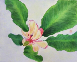 「朴―大空へ」 F6 河原公治 「朴―大空へ」 F6 河原公治