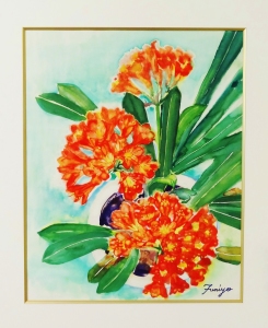 「君子蘭」 F10 「君子蘭」 F10