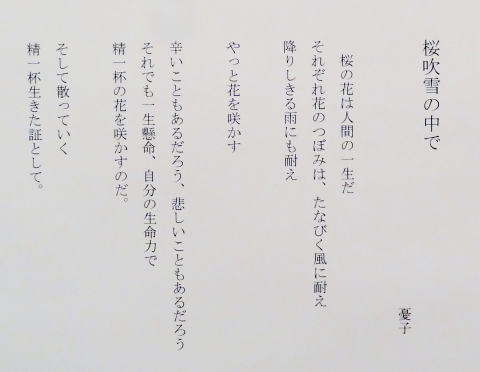 ０４　「桜吹雪の中で」　詩：　憂子