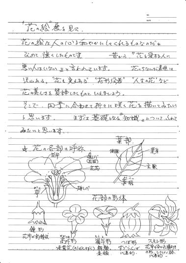 「”花の絵画展”を見て」花と葉の基礎知識