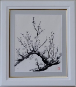 梅　 　石坂和明