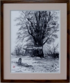 故郷の大いちょう　　 須永文江