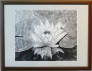 「睡蓮」　Ｆ８　高橋宏行