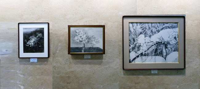 ギャラリー９（河原公治）