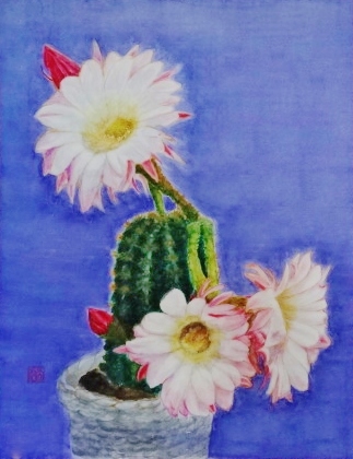 「サボテン―コロナを見ていた？」　F6　河原公治