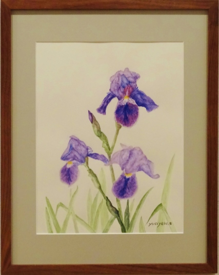 ジャーマンアイリス　　齋藤義保