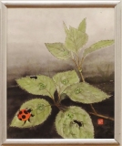 「花筏」　　F6　植木克彦