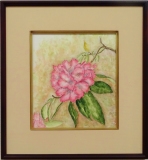 「しゃくやく」　　F3　齋藤義保