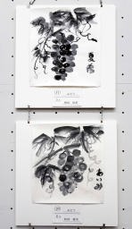 上：　１７　増田夏希　「ぶどう」　下：　２０　「松村愛実　「とうもろこし」