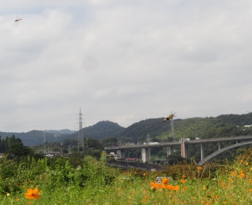 相模川自然の村風景自然の村