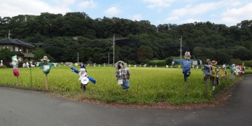 相模川自然の村風景自然の村