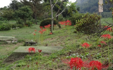 相模川自然の村風景自然の村