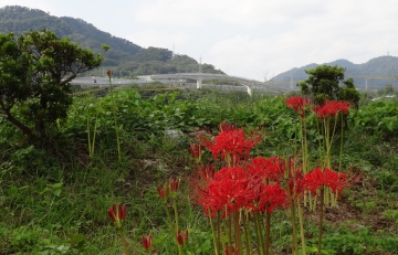 相模川自然の村風景自然の村