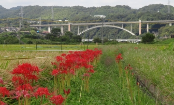 相模川自然の村風景自然の村