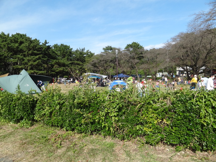 相模自然の村２０２０年１１月