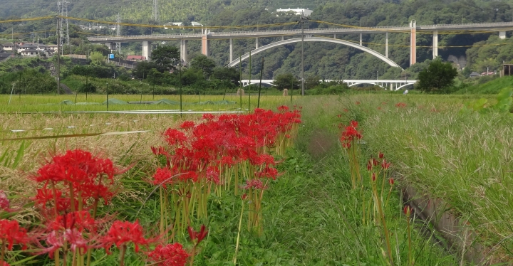 ＜清流の里展2019/09＞
