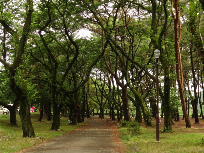 相模川自然公園