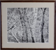 「班白叢林」　河原公治